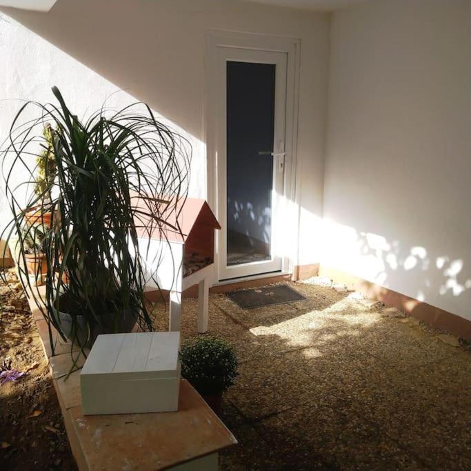 شقة Carlchens Casa Reinhardshagen المظهر الخارجي الصورة