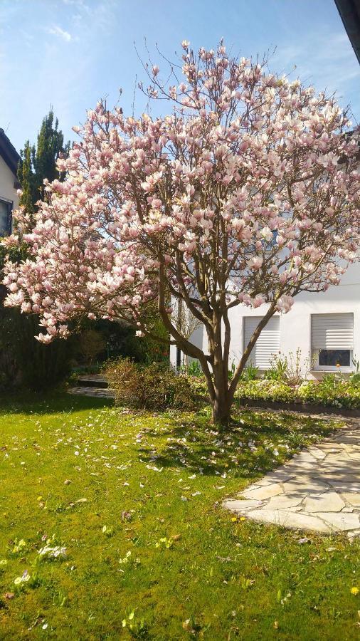 شقة Carlchens Casa Reinhardshagen المظهر الخارجي الصورة
