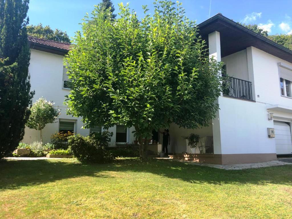 شقة Carlchens Casa Reinhardshagen المظهر الخارجي الصورة